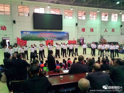 民間文藝綻放校園，文化傳承走進鎮巴——中國民間文藝家協會‘民間文化進校園’活動紀實