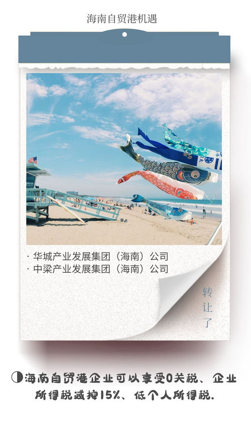 海南自貿(mào)港文旅集團(tuán)與德國企業(yè)對比 稅收優(yōu)勢凸顯，文化藝術(shù)交流新機(jī)遇